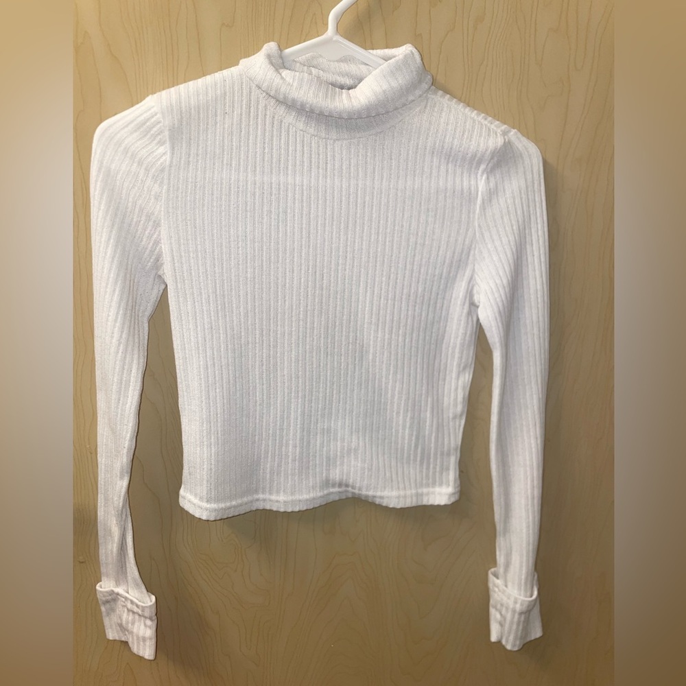 Ribbed turtle neck